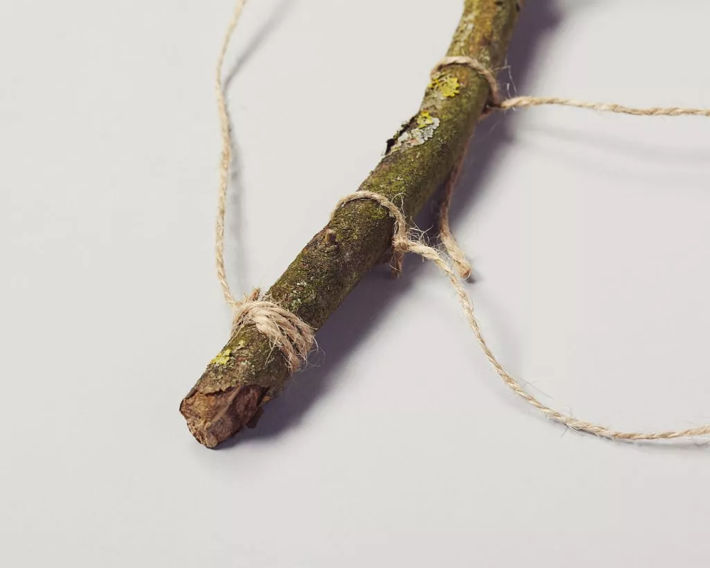 Branche en bois
